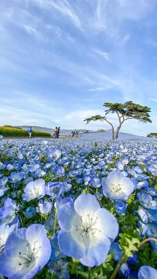 Da__Kaigram-美图3